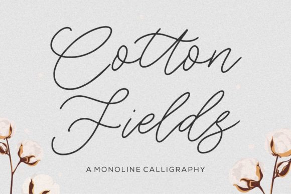 Cotton Fields: The Font That Elevates Your Campaigns