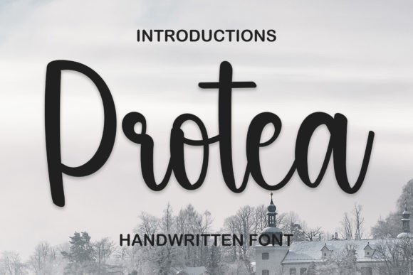 Protea: A Font That Adds Personality to Branding