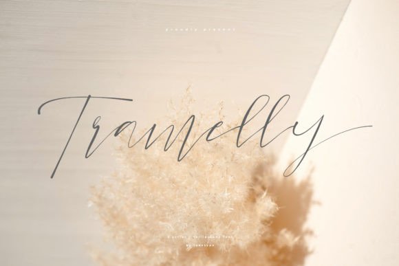 Tramelly: A Font That Breathes Life Into Editorial Design