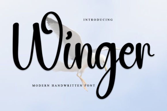 Winger: A Script Font That Elevates Campaigns
